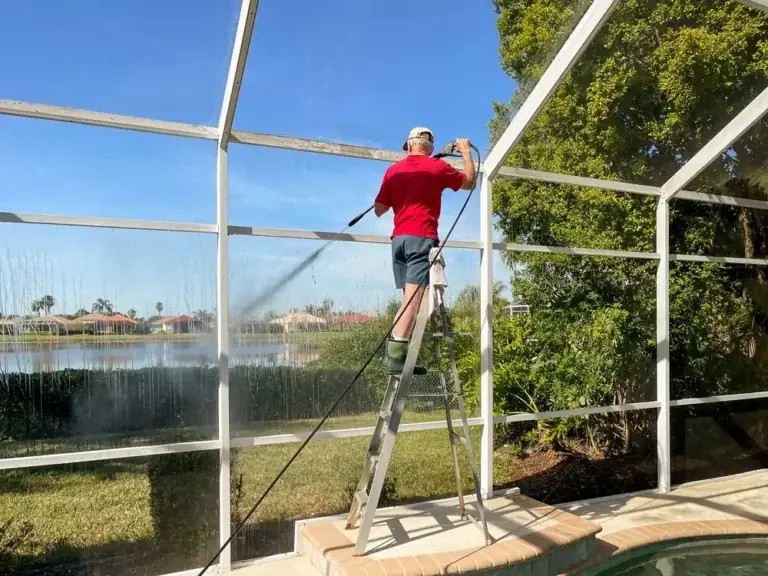 How to manage algae in pool enclosures for pristine water quality